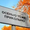 🍁