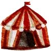 🎪