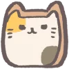 🐱