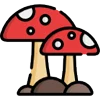 ?