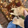 ?