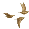 Эмодзи Barocco emoji