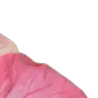 🌸