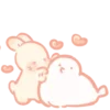 🐰