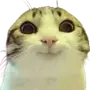 Эмодзи котейки