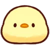 🐥