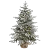 🌲