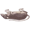 Эмодзи Чумной доктор