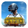 Эмодзи PUBGM