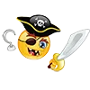 ?‍☠️