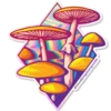 🍄