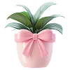 🎀