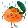🍊