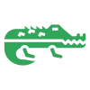 🐊