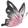 🦋