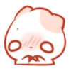 🐱