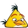 🐥