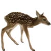 Эмодзи Deers