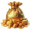 💸