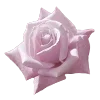 Эмодзи Doll Core