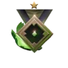 🎖