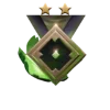 🎖
