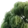 Эмодзи NATURE