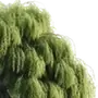 Эмодзи NATURE