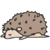 😴