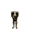 🫥