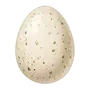 🥚