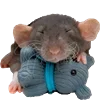 Эмодзи Animals