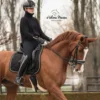 Эмодзи Equestrian