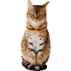 🐈