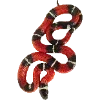 Эмодзи Fauna