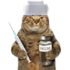 Эмодзи Fcking Cats