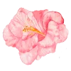 Эмодзи flowers aesthetics
