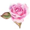 Эмодзи flowers aesthetics