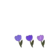 Эмодзи Purple