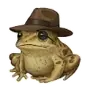 Эмодзи Frogs in Hats