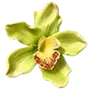 💐