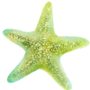 ⭐️