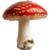 🍄