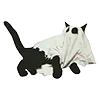 😸
