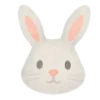 🐰