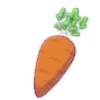 🥕