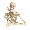 🦴