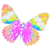🦋