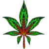 🍁
