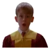 Эмодзи Home Alone | Один дома
